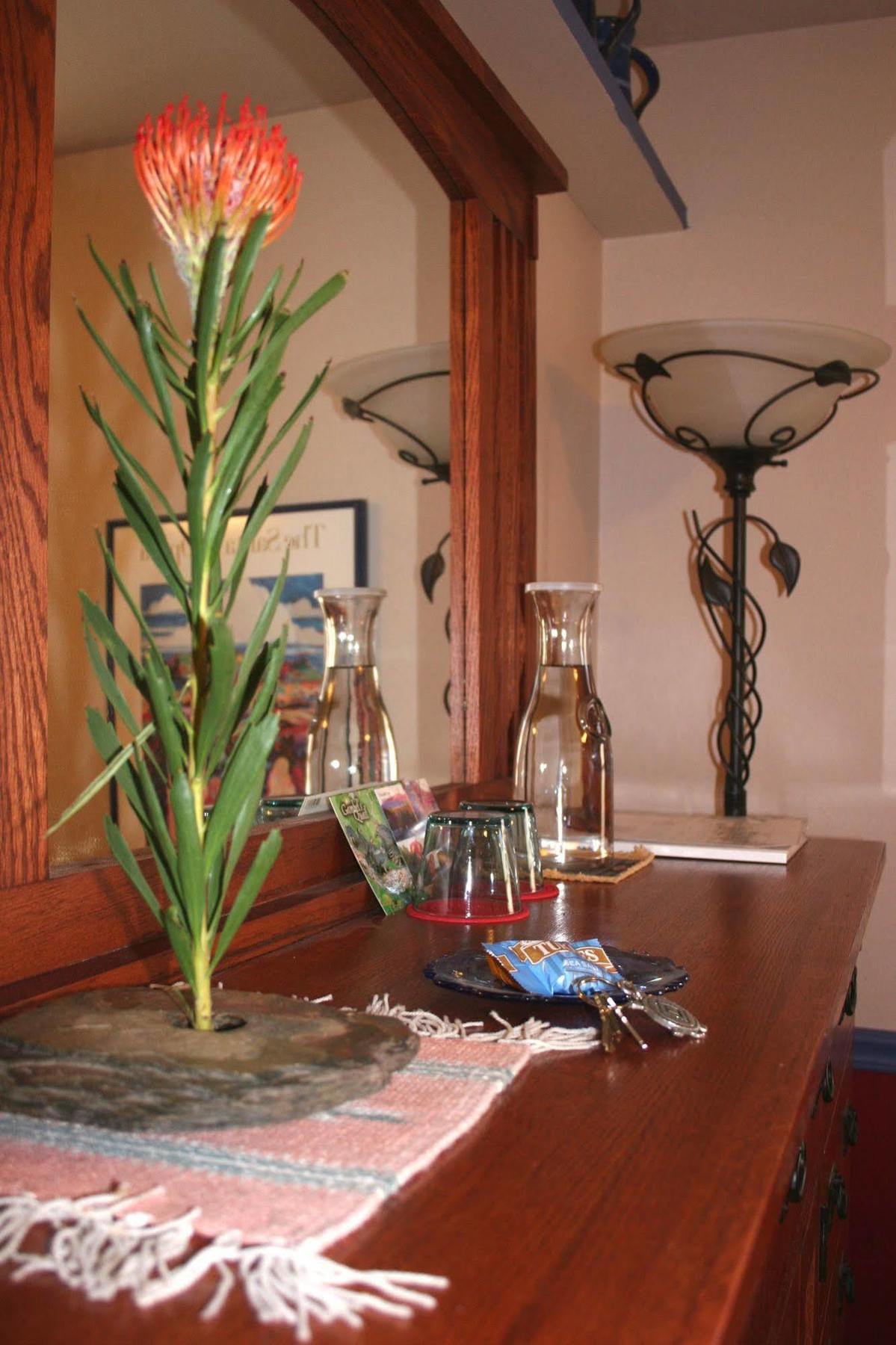 Chocolate Turtle B&B Corrales Екстер'єр фото